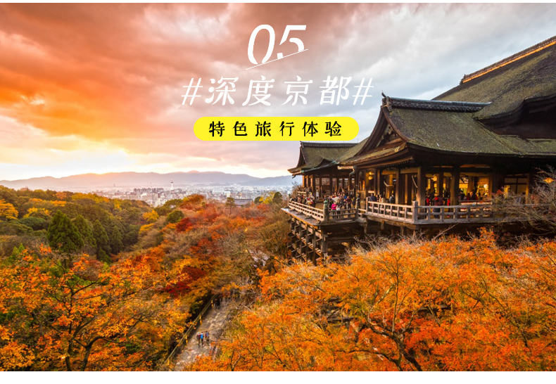 日本 世遗高野山到大唐遗风京都关西7天6晚日本超灵赏枫之旅 探索者旅行网